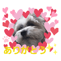 わんわんポン助