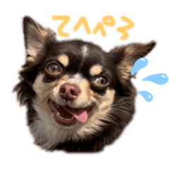 ムギちゃんスキ！