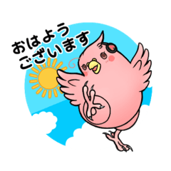 インコのアヤネ