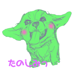 ゆる〜〜わんこ