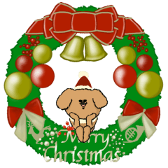 犬しかいねぇ 【ネコ2%】冬