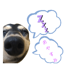 ララちゃんStamp