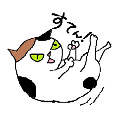 太めミケ猫　ちー