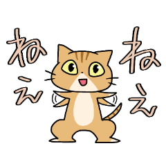 構ってほしい猫