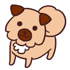 博多弁のミックス犬「マイケル」