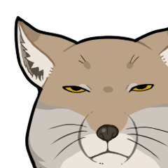 チベット★スナギツネ