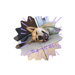 困ったテンテン