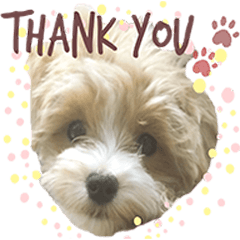 まるぷーのぷうちゃん