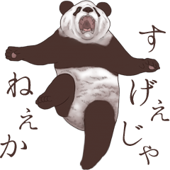 アクロバティックぱんだ