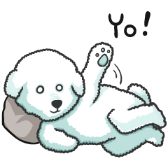 可愛いビションフリーゼ、ルイの基本セット