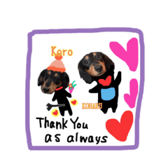 コロとコハルと遊ぼう