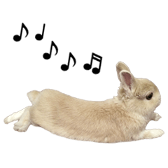 うさぎのまり坊２