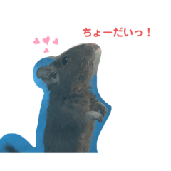 我が家の子供達パート1