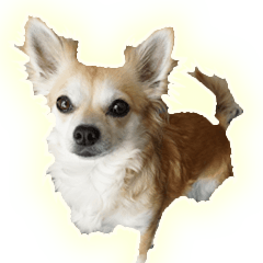 ロンチーコロンのお返事スタンプ