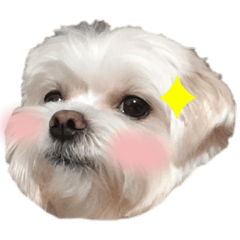 Jie Hua_20210218035244