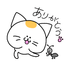 ねこと時々ぴよこ