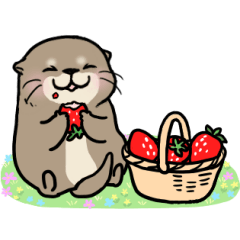 動く▷春だよ♪カワウソさん