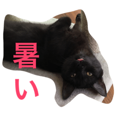 ラキハピコンビ