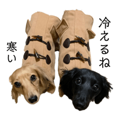 ベルとジャスミンのスタンプ