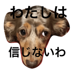 ココちゃんナナちゃんの使えるすたんぷ