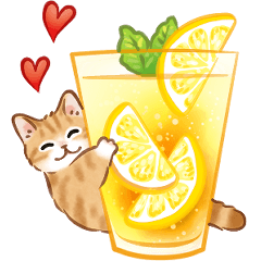 夏☆猫たちのスタンプ