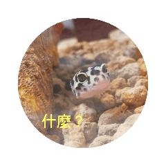 Kimmy_20210609033924