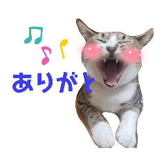 ぼくいっきゅう!!