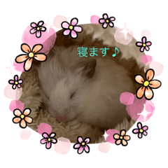 ハムはむスタンプ♪