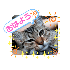 うにちゃんです。unicahn！No.2