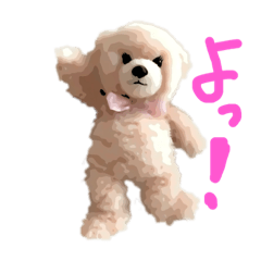 モモちゃん‼︎‼︎