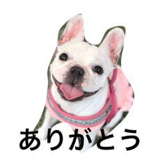 ウーチャースタンプ