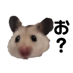 ＊こなつスタンプ3＊