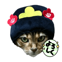 ベンガルのラムとこてつ