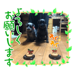 ハッ恥ずかしい