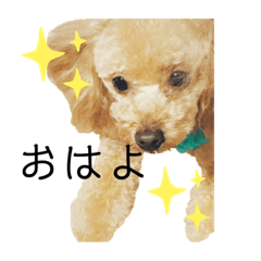 くおん＆てぃむ②