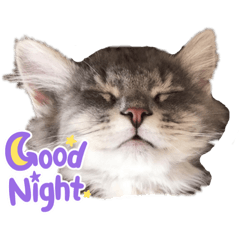 うたねこスタンプ　可愛すぎる日常編ver1