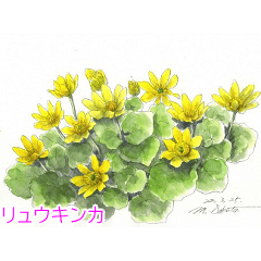手描きの花達（日本語名付）