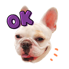 フレブルともぞうくん2