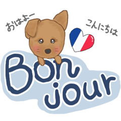 かわいいわんこのBonくん♪フランス大好き