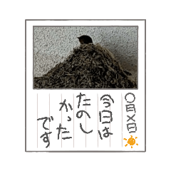 癒やされますなっ