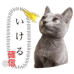 子猫まつ のスタンプ