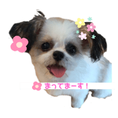 グリコちゃんスタンプ