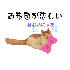 日常で使いたい猫ちゃんスタンプ