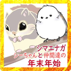 シマエナガ☆シーちゃんと仲間達の年末年始