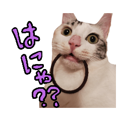 ティティチャン