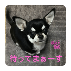 ハッピーといとーさん