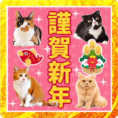 ねこ写真BIGスタンプ♪年末年始2023