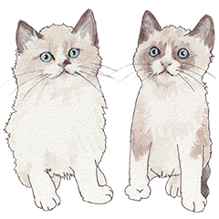 保護猫スタンプPart.4