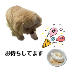 チョコっと日常