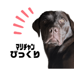 マリチャンver